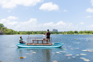 Sigiriya Hotels