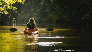 Solo kayaking through a mangrove river in Sri Lanka surrounded by tropical greenery