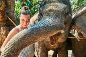 Close encounter with an Asian elephant during a wildlife experience near Sigiriya