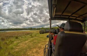 Safari jeep experience in Minneriya National Park, perfect for wildlife photography
