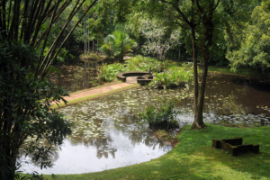 Lunuganga Estate garden visit near Bentota Sri Lanka