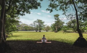 Meditation in a natural setting supporting Ayurvedic lifestyle and wellbeing