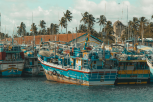 Boats docked at Negombo Fish Market