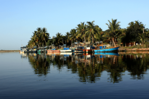 Fishing boats moored along the shoreline of Batticaloa Lagoon