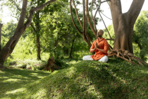 Man meditating in the garden at Ayugiri Ayurveda Wellness Resort. 
