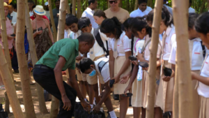 Nipa palm planting project along the banks of the Gin Oya River