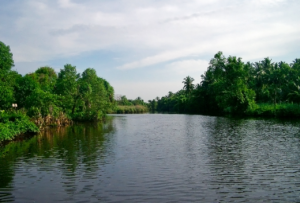 View of the Gin Oya River and surrounding greenery in Waikkal