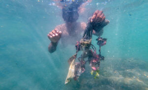 Volunteer carrying tangled marine waste during an underwater clean-up at Nilwella Harbour