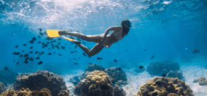 Snorkeller among corals and fish in Passi reef, Pasikuda