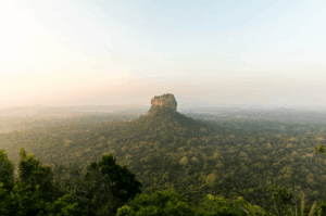  Sigiriya Rock rising above the forest canopy at dawn.